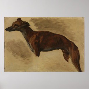 Delacroix - Levrier förmodligen 1859 Poster
