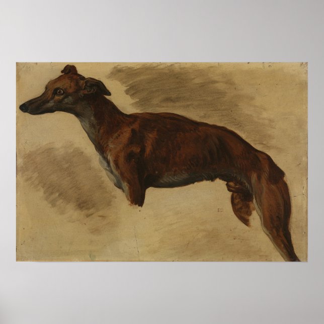 Delacroix - Levrier förmodligen 1859 Poster (Framsidan)