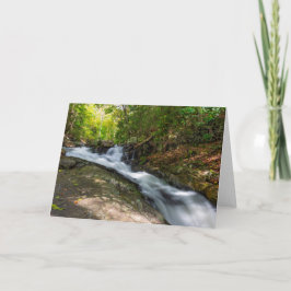 Delade byxor på Sand Vår Springa Kort