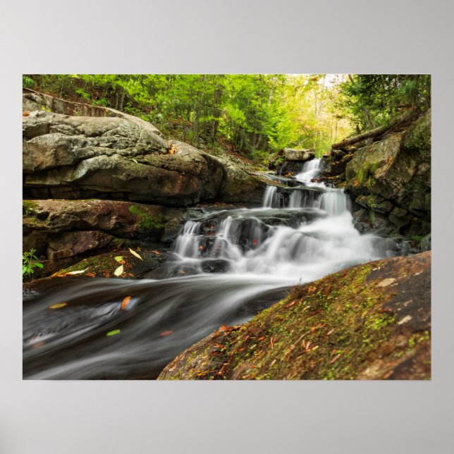 Delade byxor på Sand Vår Springa Poster (Framsidan)