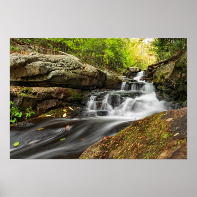 Delade byxor på Sand Vår Springa Poster (Framsidan)