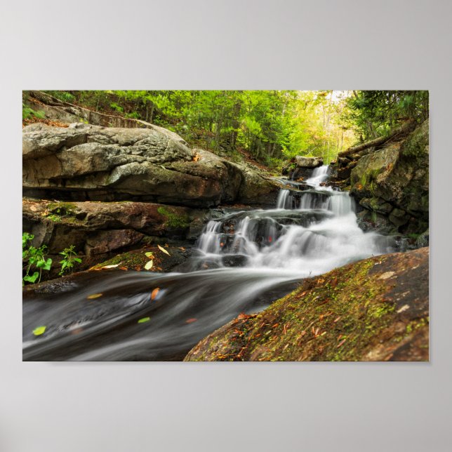 Delade byxor på Sand Vår Springa Poster (Framsidan)