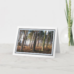 Delamere Forest Hälsning Card Kort