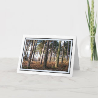 Delamere Forest Hälsning Card Kort