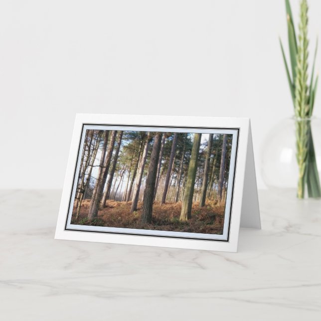 Delamere Forest Hälsning Card Kort (Framsida)