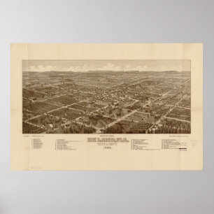 DeLand Florida 1884 Antique Panoramic Karta Poster