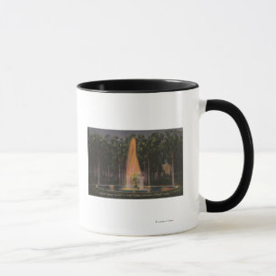 Deland Florida - Stetson universiteten Mugg