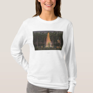 Deland Florida - Stetson universiteten Tee Shirt