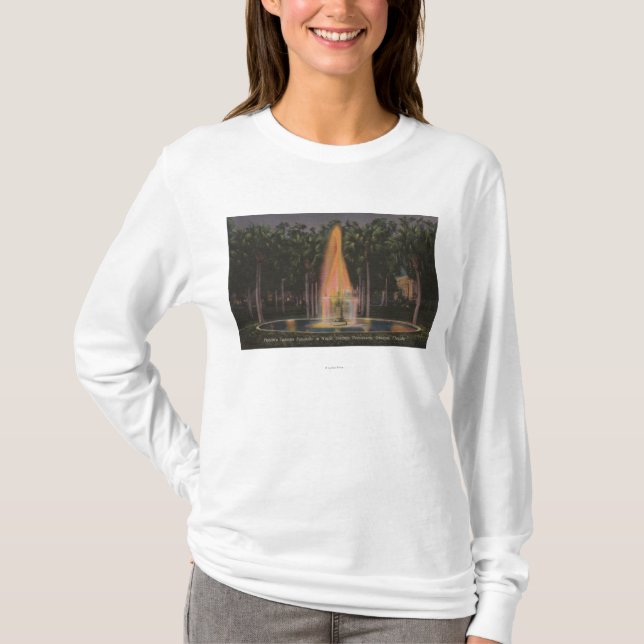Deland Florida - Stetson universiteten Tee Shirt (Framsida)