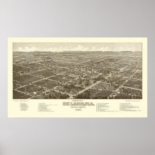 DeLand panorama- karta för FL - 1884 Poster