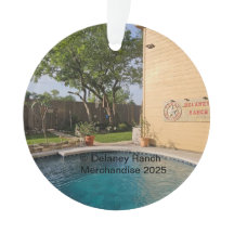 Delaney Ranch 2025 Acrylic Ornament