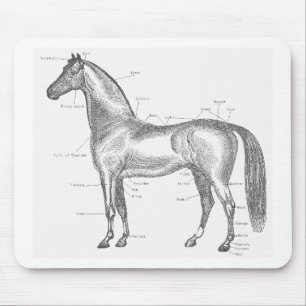 Delar av hästen Mousepad Musmatta