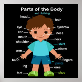 Delar av karosseriet Poster