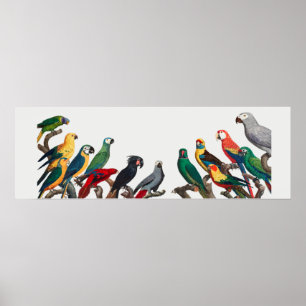 Delar Poster