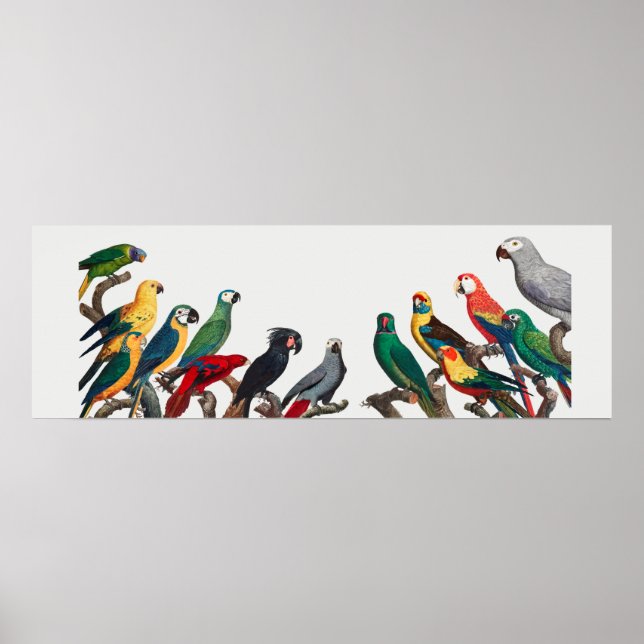 Delar Poster (Framsidan)
