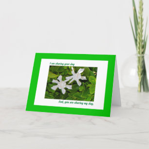 Delat födelsedagskort, Gardenias Kort