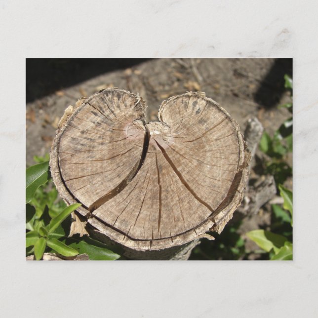 Delat vykort för hjärtklump (Framsida)