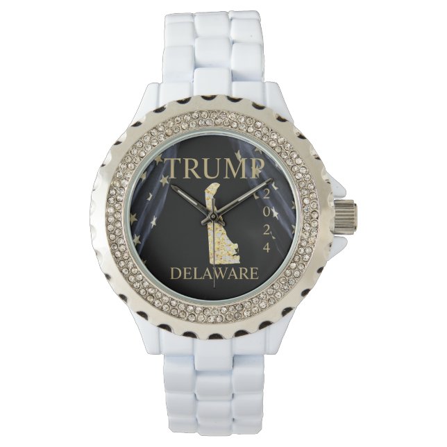 DELAWARE  ARMBANDSUR (Framsida)