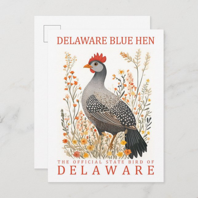 Delaware Blue Hen Bird of Delaware USA Travel Vykort (Fram/baksida)