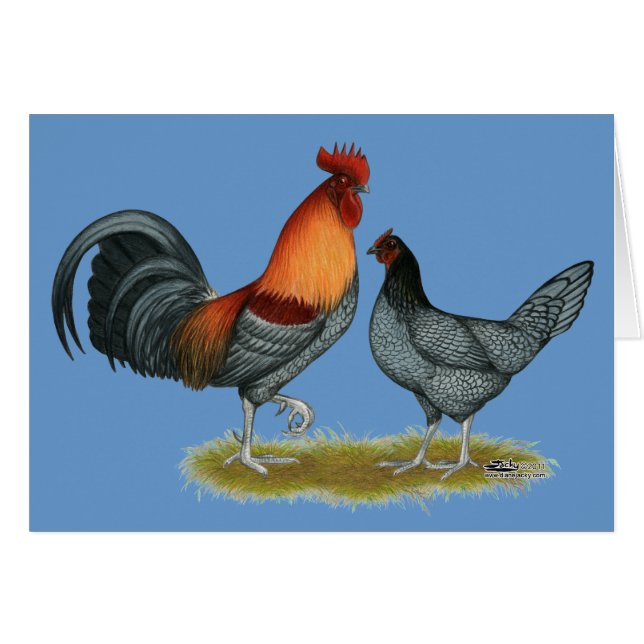 Delaware Blue Hen OBS Kort (Framsidan Horizontal)