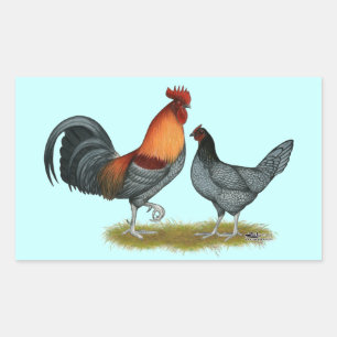Delaware Blue Hen Rektangulärt Klistermärke