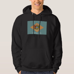 Delaware Diamantstatens flagga Hoodie