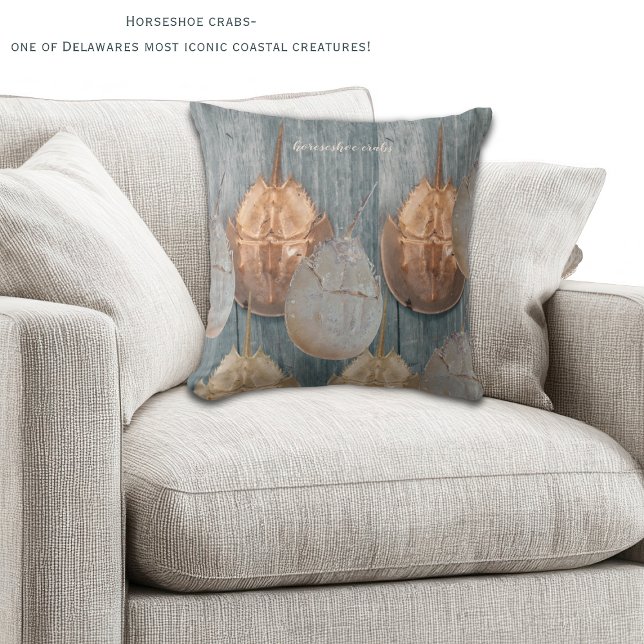 Delaware Dolksnäcka Kudde – Kustdekor (Horeshoe crabs are one of the most iconic coastal creatures in DE! Two sided decorative pillow!)