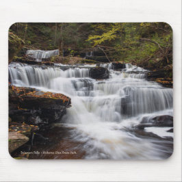 Delaware Falls Musmatta