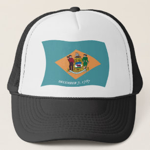 Delaware Flag Hatt Keps