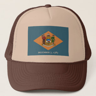 Delaware Flagga Hat Truckerkeps