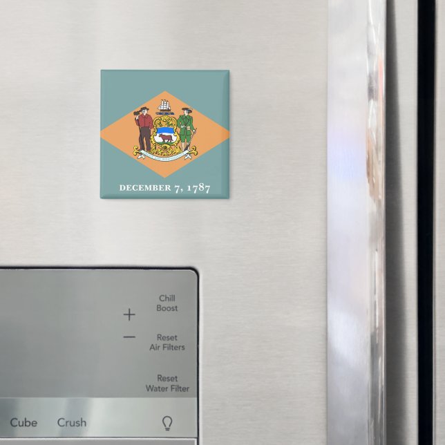 Delaware-Flagga Magnet (In Situ (Fridge))