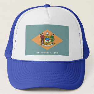 Delaware-Flagga Truckerkeps