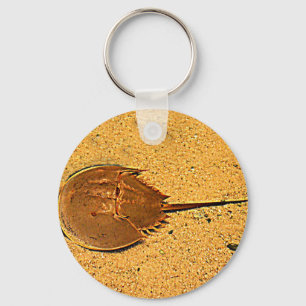 Delaware Horseshoe Crab Nyckelring