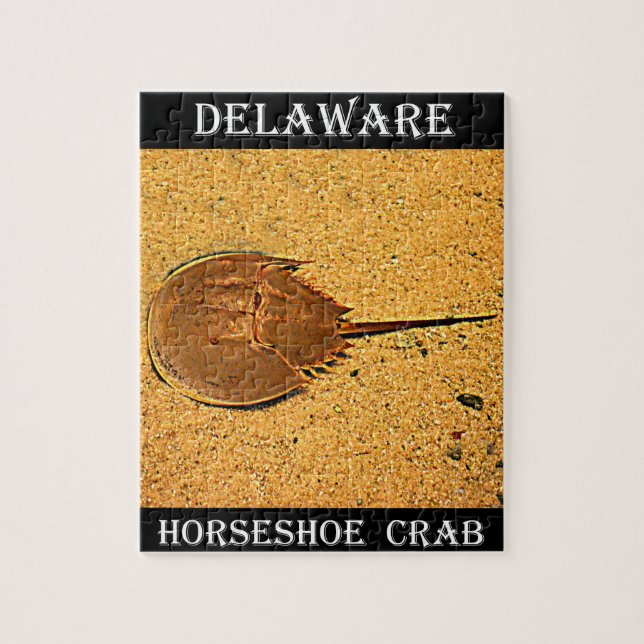 Delaware Horseshoe Crab Pussel (Vertikal)
