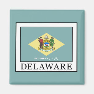 Delaware Magnet