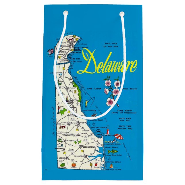 Delaware Map Small Gift Bag (Framsidan)