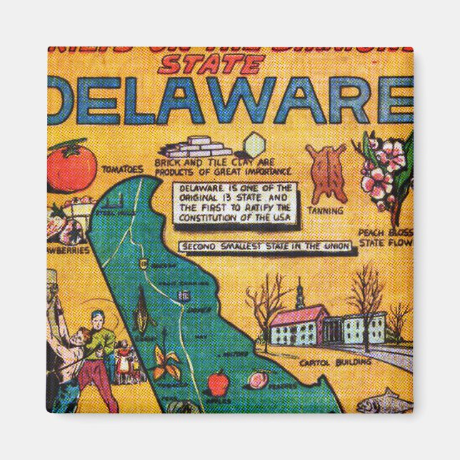 Delaware of the Diamond State Magnet (Framsidan)