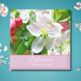 Delaware Peach Blommars First State Magnet