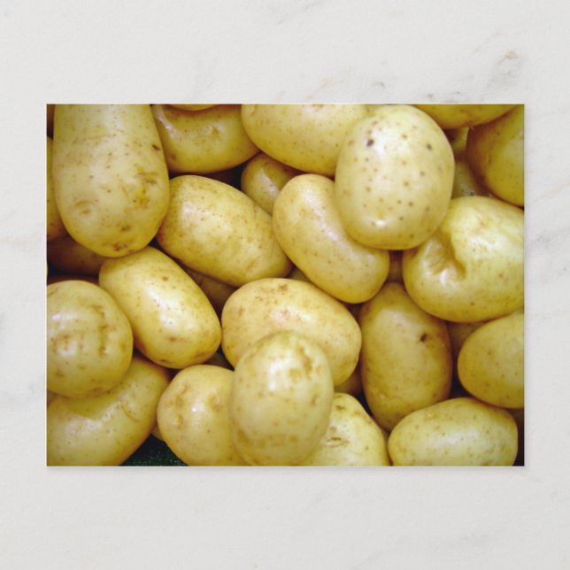 Delaware potatoe vykort (Framsida)