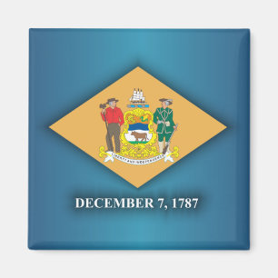 Delaware pride magnet