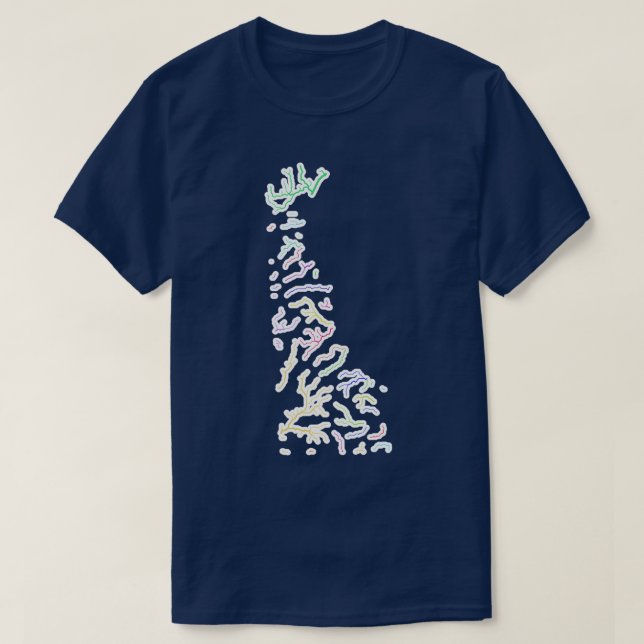 Delaware River Basin Karta i Rainbow Färg med W T Shirt (Design framsida)