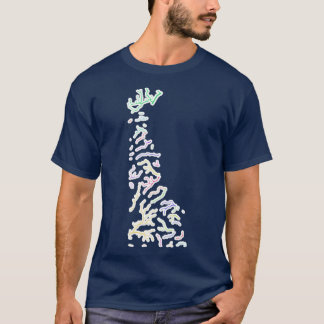 Delaware River Basin Karta i Rainbow Färg med W T Shirt