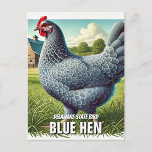 Delaware State Bird Blue Hen Vykort
