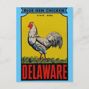 Delaware State Bird Postcard Vykort