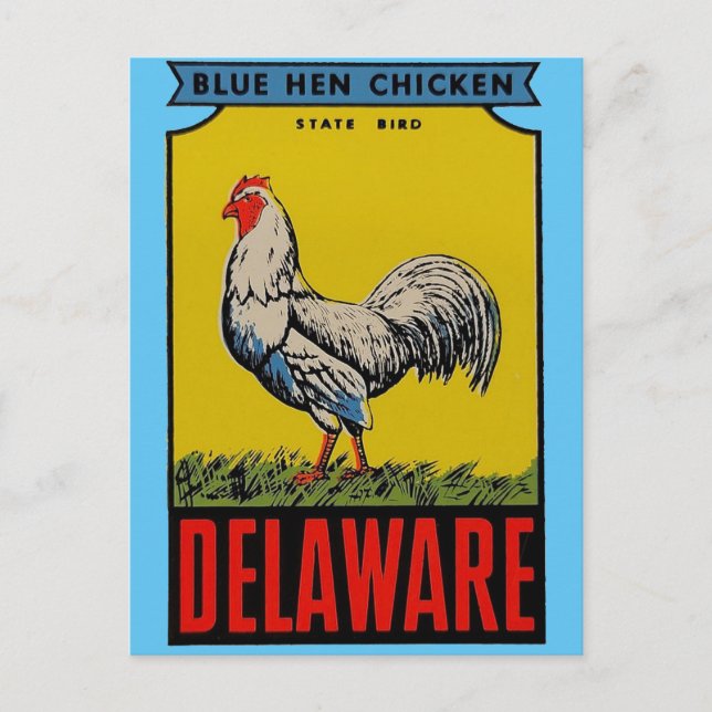Delaware State Bird Postcard Vykort (Framsida)