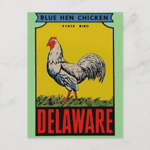Delaware State Fågel Postkort Vykort
