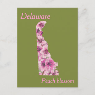 Delaware State Flower Collage Karta Vykort