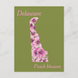 Delaware State Flower Collage Karta Vykort