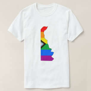 Delaware State Pride HBTQ+ Progress Pride T Shirt