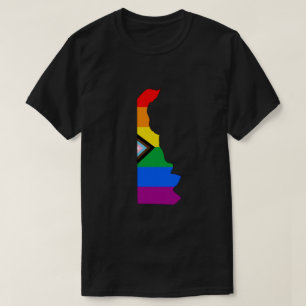 Delaware State Pride HBTQ+ Progress Pride T Shirt